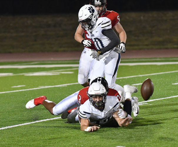 Football roundup Millionaires top Berwick to move to 30 News